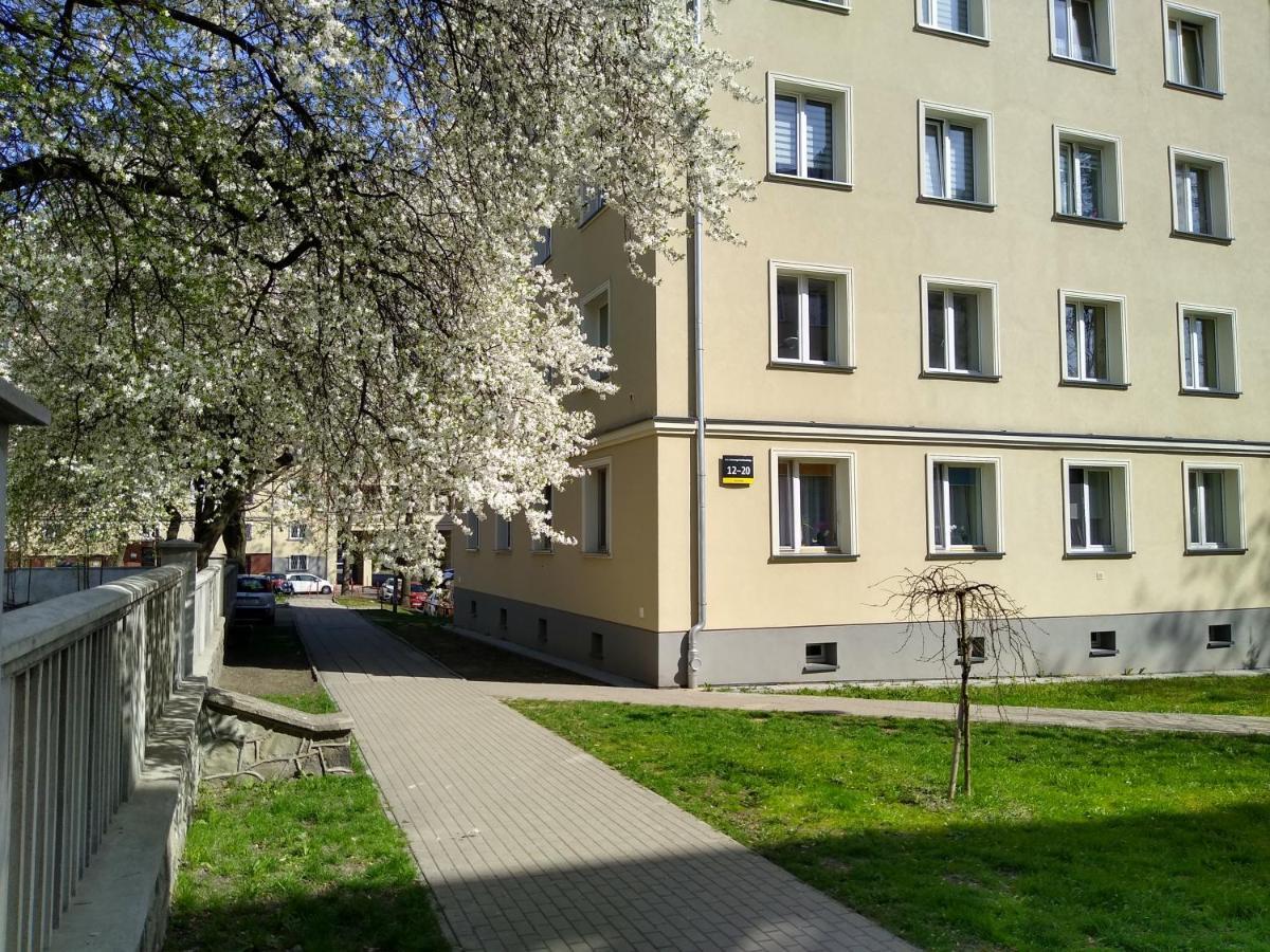 Apartment Bluebird Katowice Near Spodek Mck & City Center מראה חיצוני תמונה